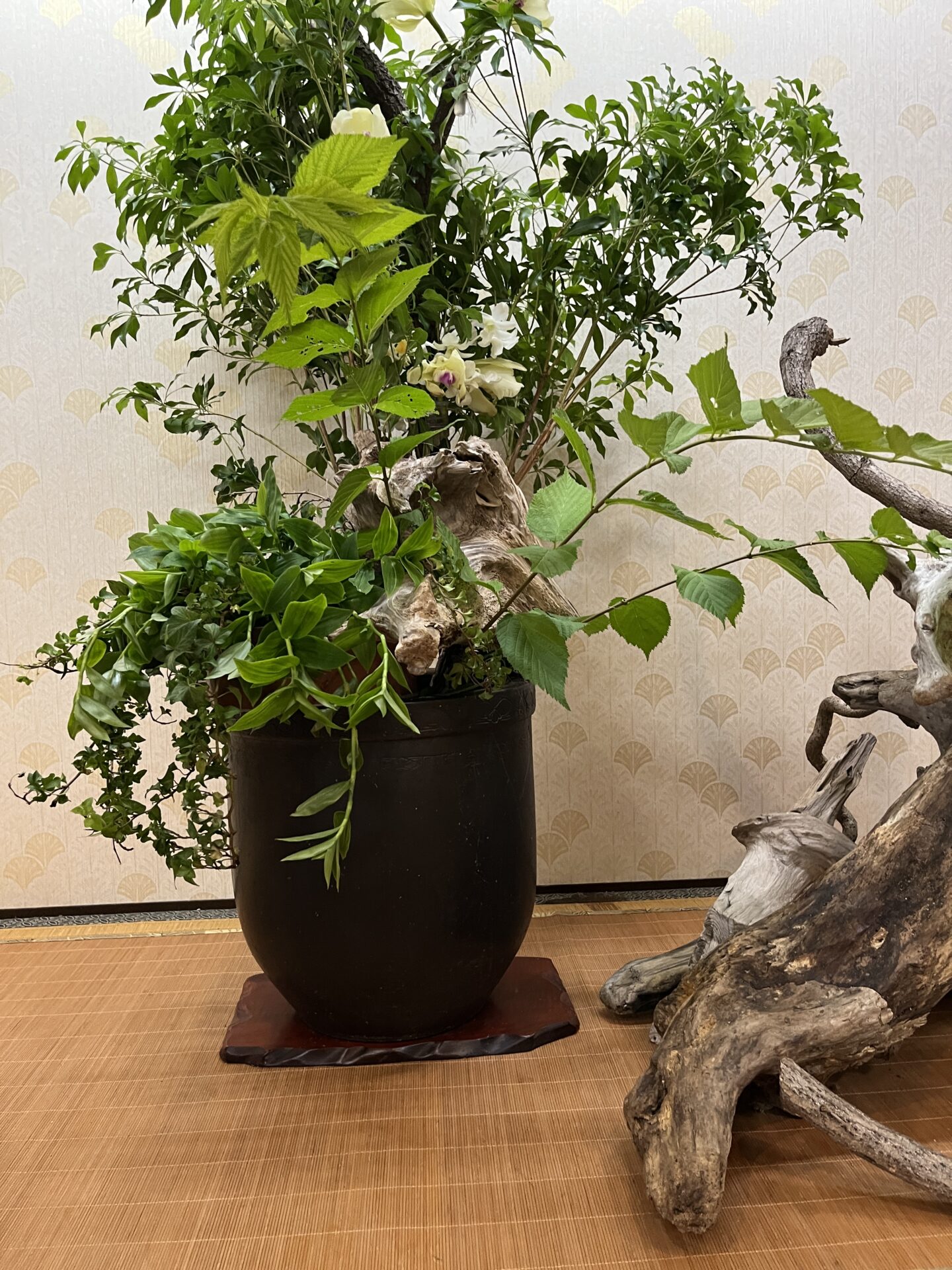 三重県津市 花屋 CHELBAN (シェルバン) 生け込み