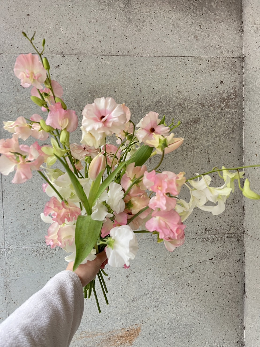 シェルバンからおすすめ商品のご案内