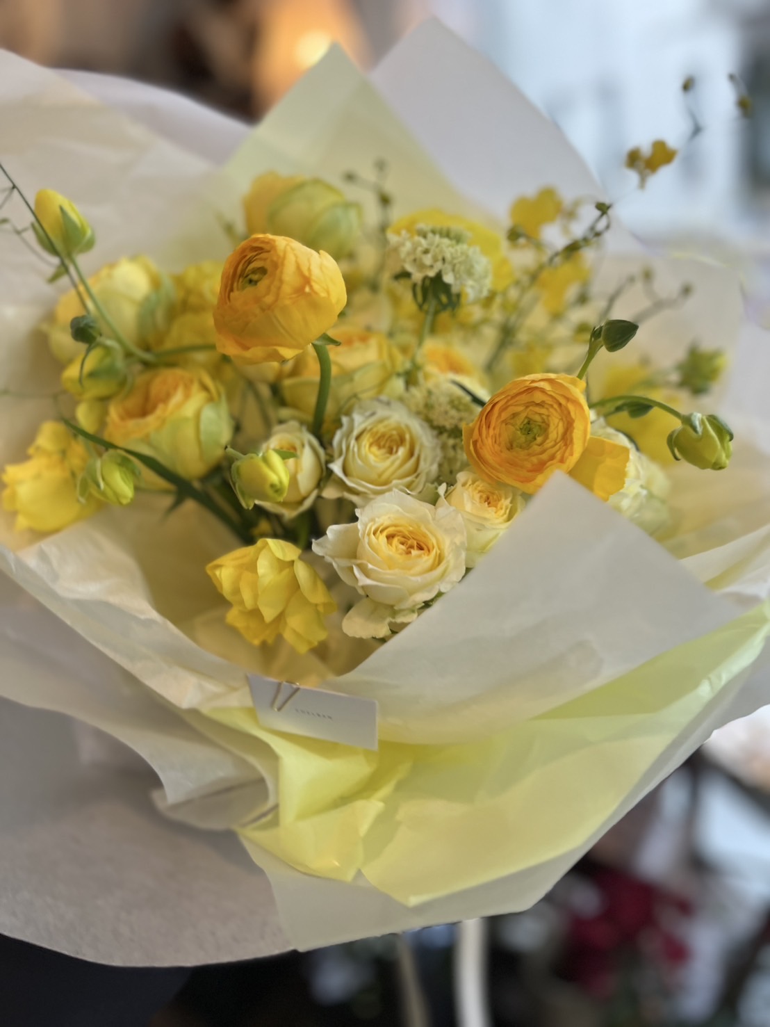 シェルバンからおすすめ商品のご案内