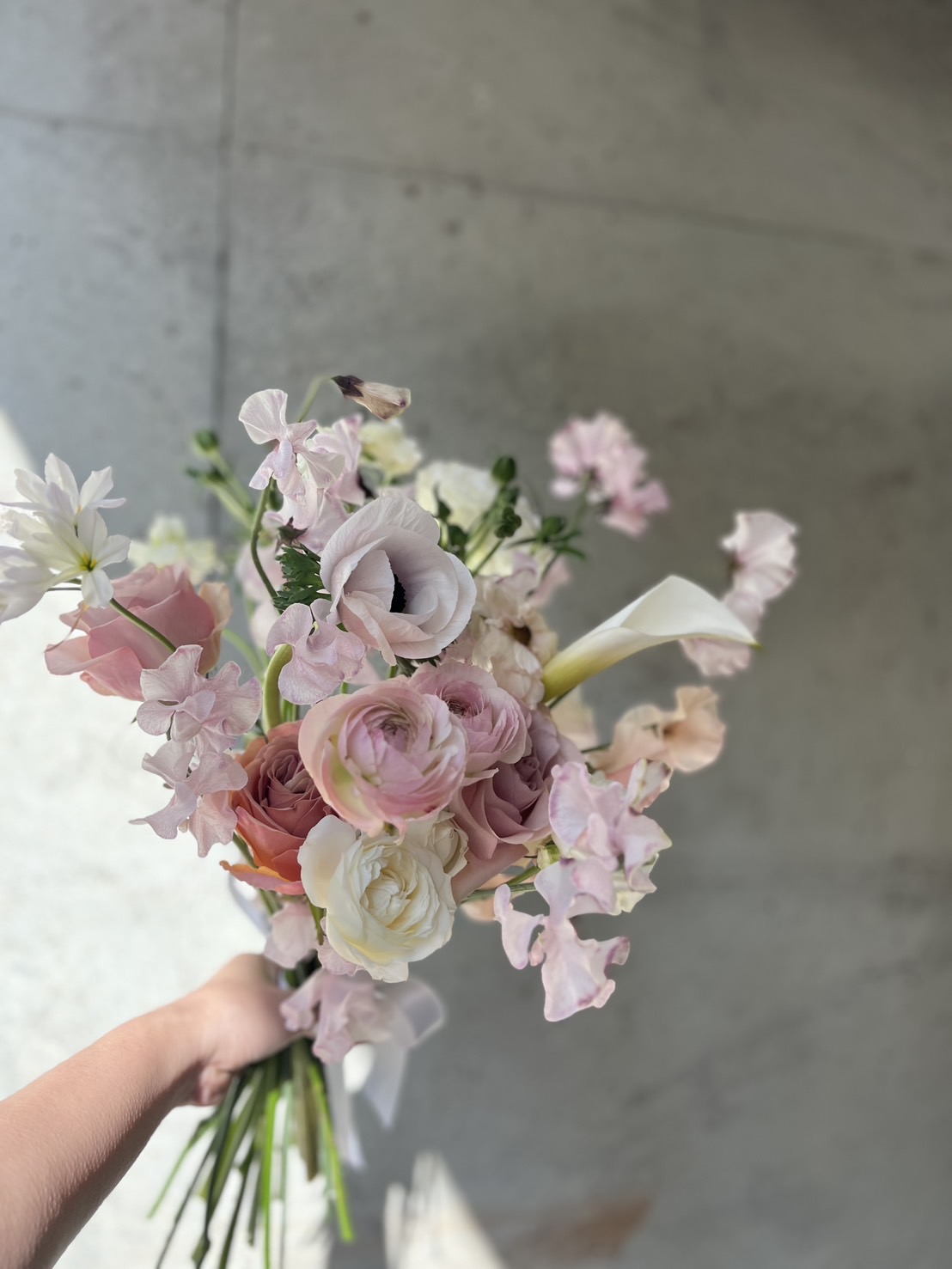 シェルバンからおすすめ商品のご案内