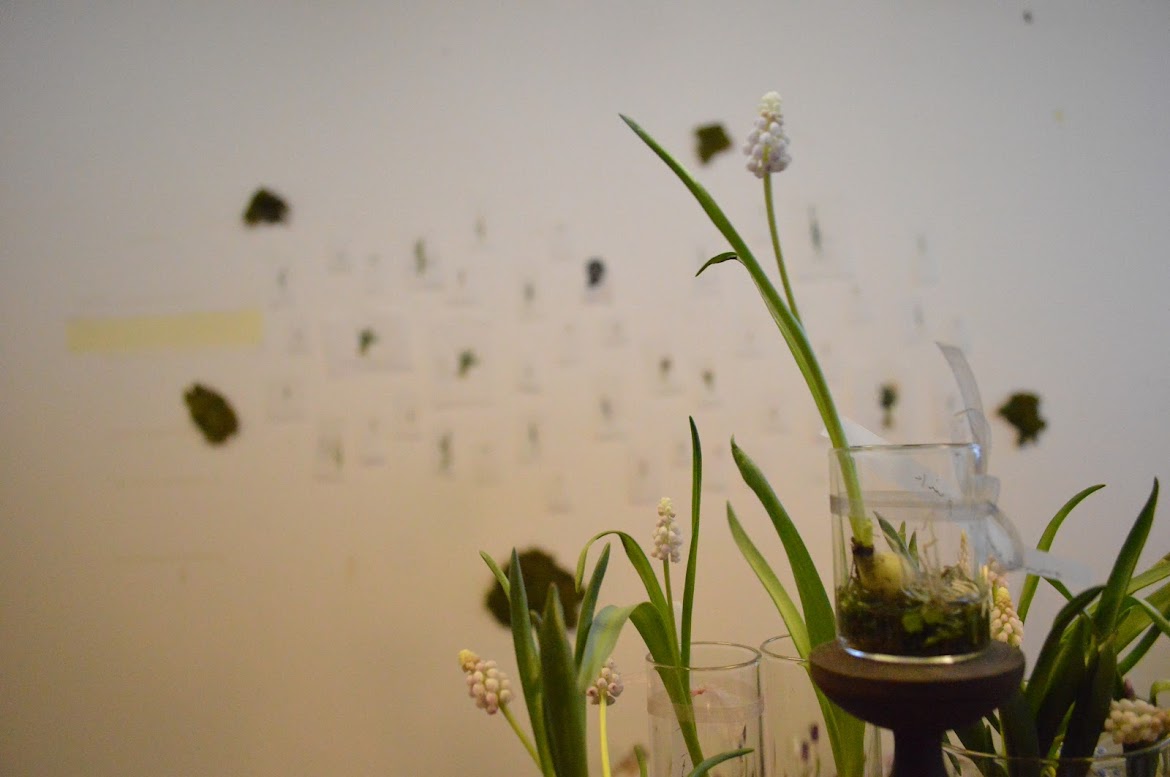 シェルバンからおすすめ商品のご案内