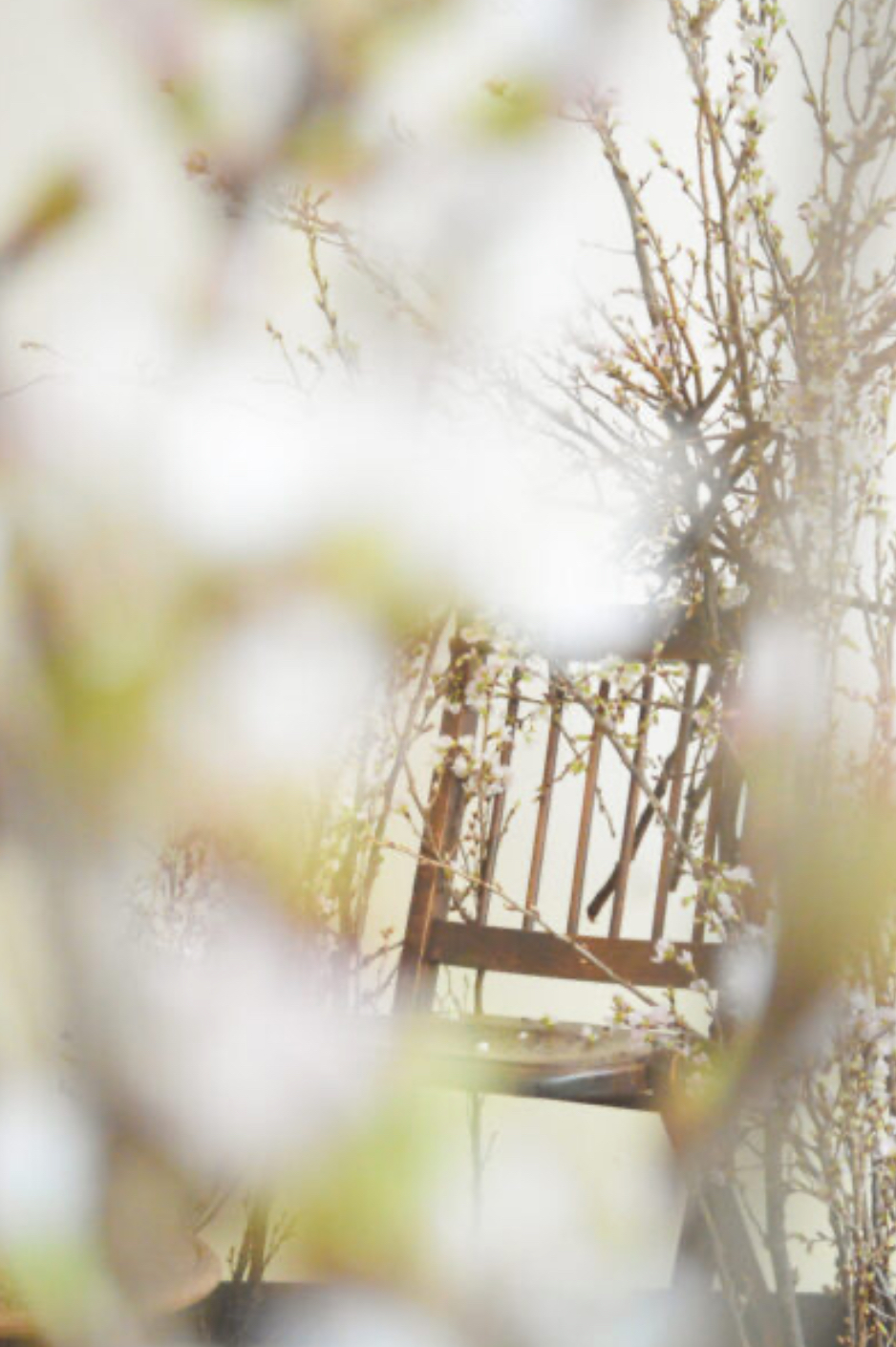 シェルバンからおすすめ商品のご案内