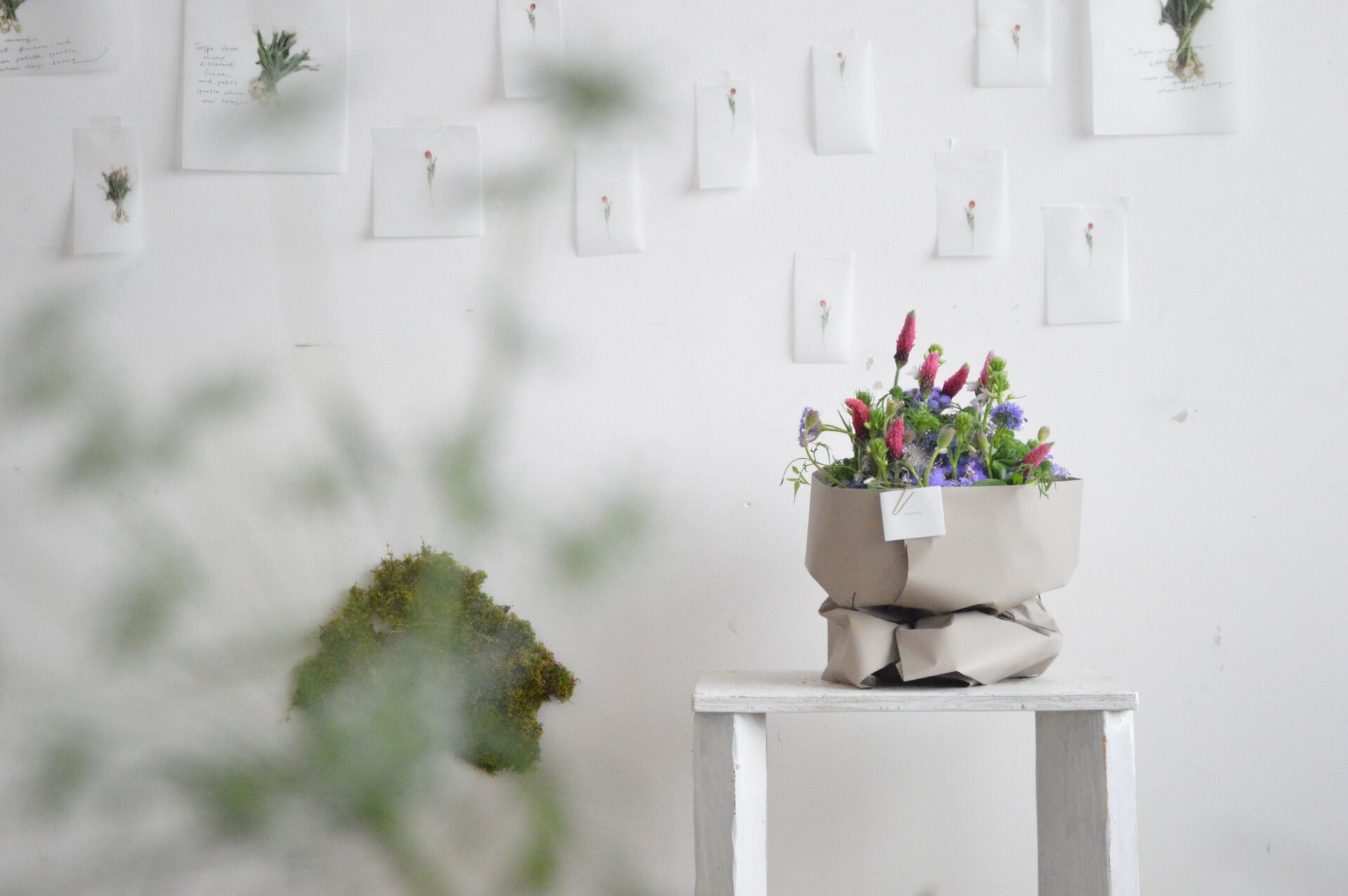 三重県津市 花屋 CHELBAN (シェルバン) 写真と記憶と松