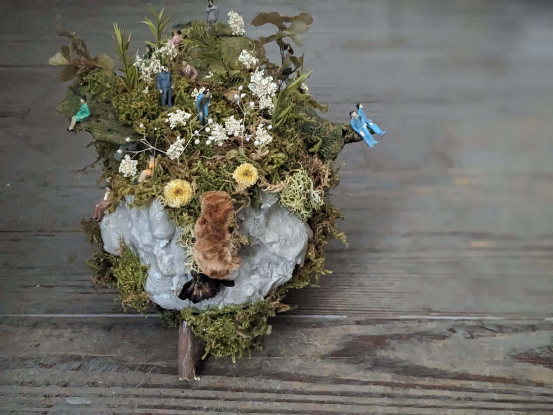 三重県津市 花屋 CHELBAN (シェルバン) 赤いボケの話