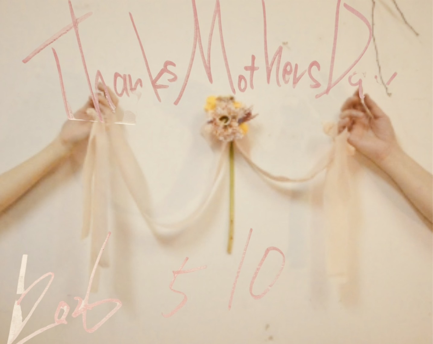 シェルバンからおすすめ商品のご案内