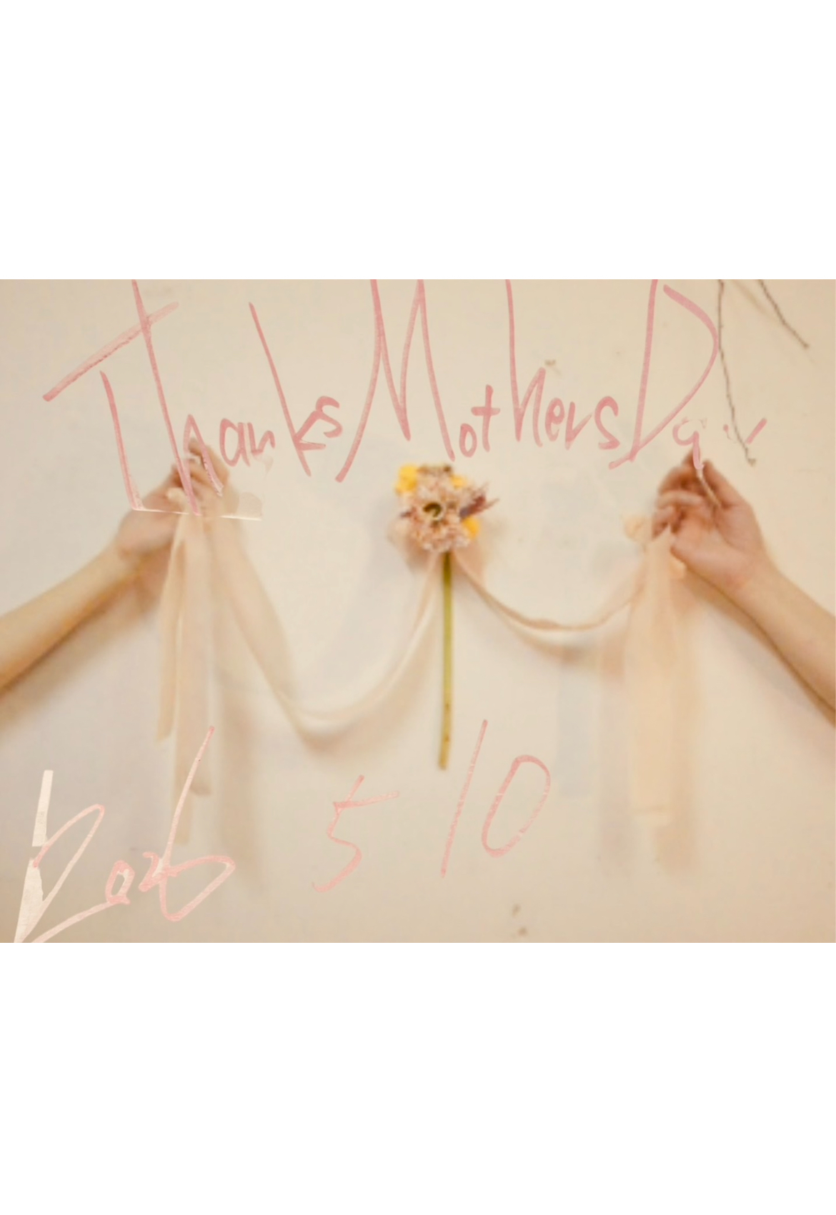 シェルバンからおすすめ商品のご案内