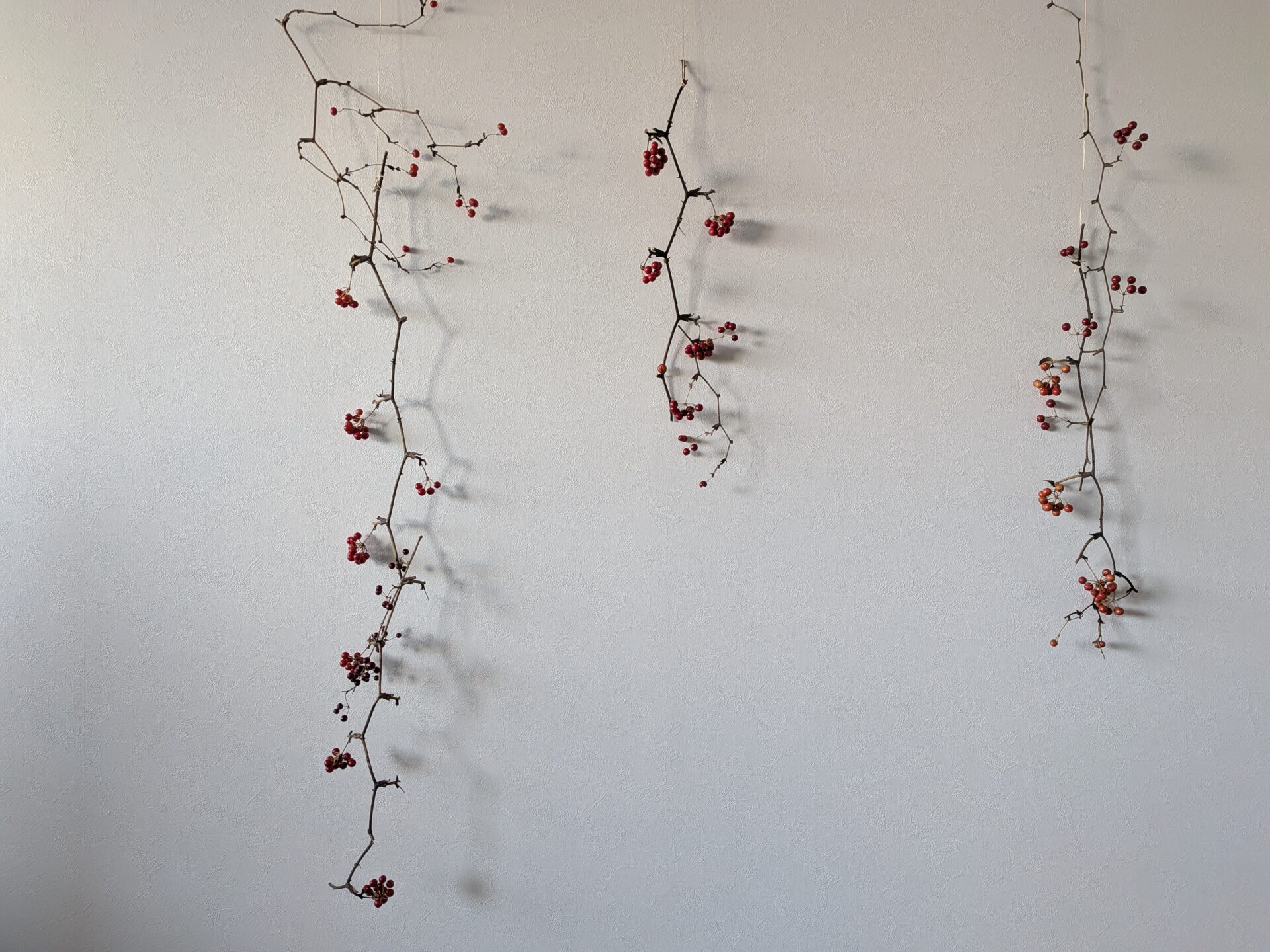 三重県津市 花屋 CHELBAN (シェルバン) 夜と葉桜と雨